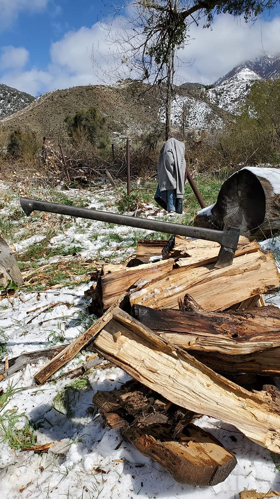 Fiskars 36