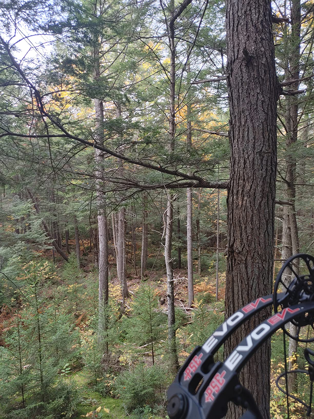 Summit Treestands Titan SD Climbing Treestand customer photo 1