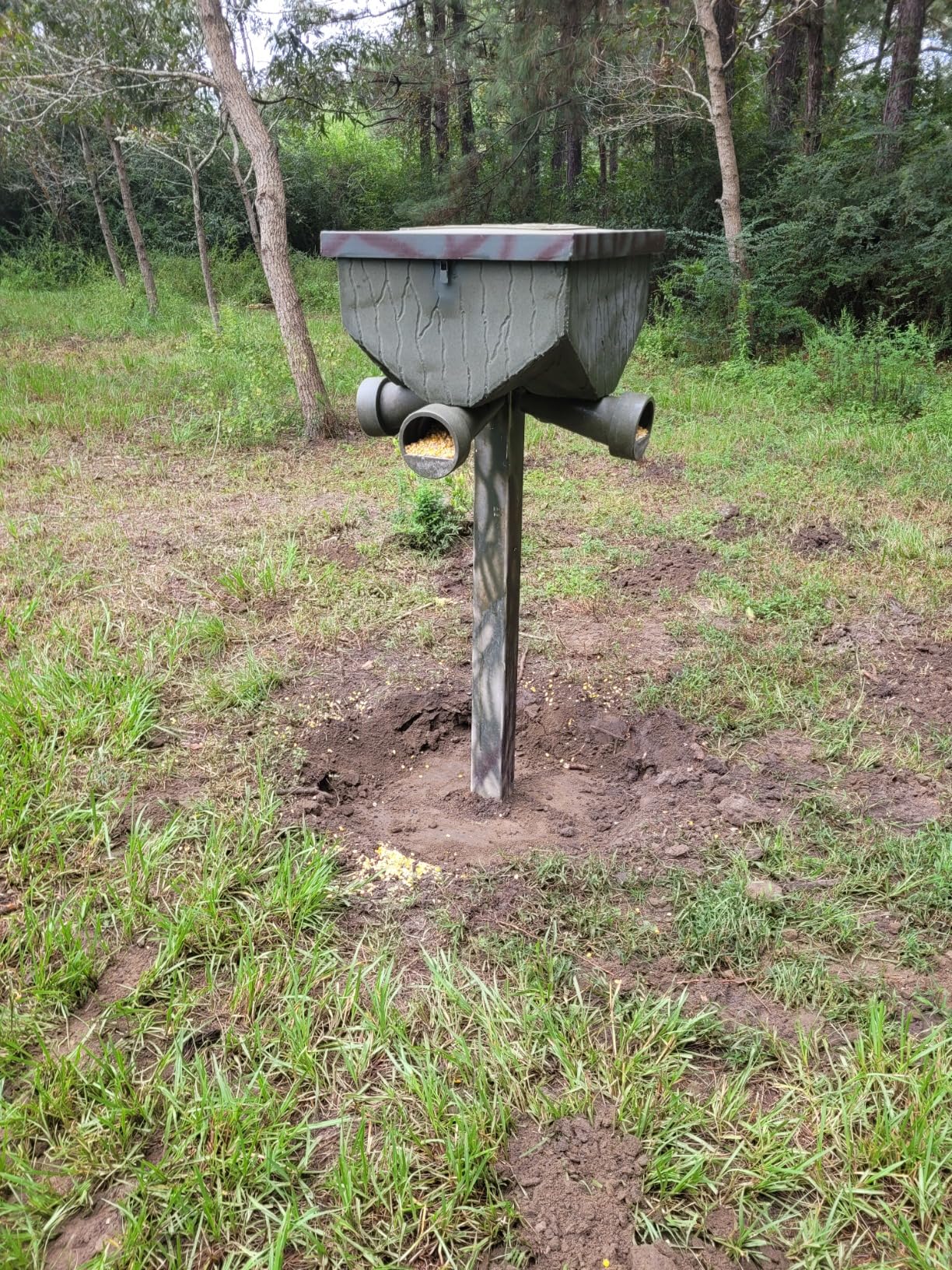 Banks Outdoors Gravity Fed Tree and Post Mountable Weatherproof Feed Bank Deer and Game Hunting Feeder, 40 Pound Capacity customer photo 2
