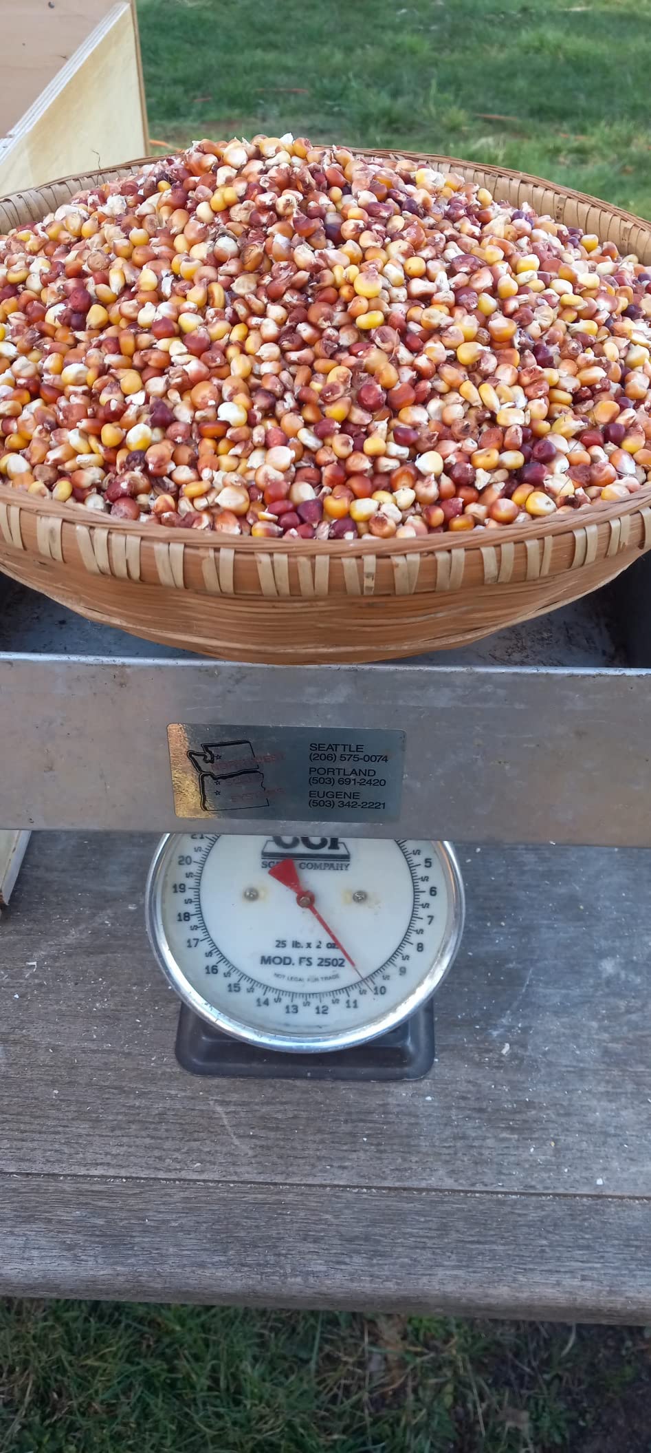 Maximizer Corn Sheller (Red), Manual Hand Crank Thresher, Walnut Shucker/Huller customer photo 1