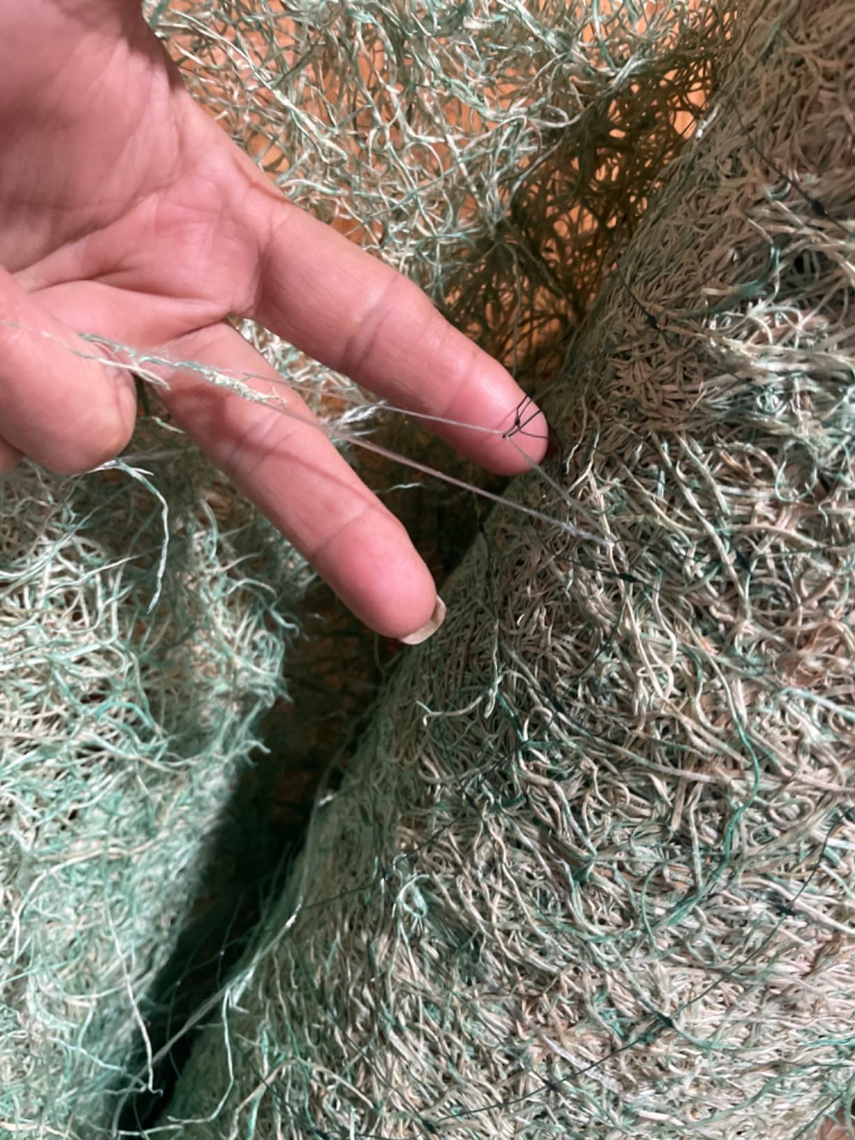 Dewitt Single Net Excelsior Erosion Control Blanket, 4x112.5 Ft, Green | Aspen Wood Fiber Mat with Netting for Seed & Grass Establishment customer photo 2