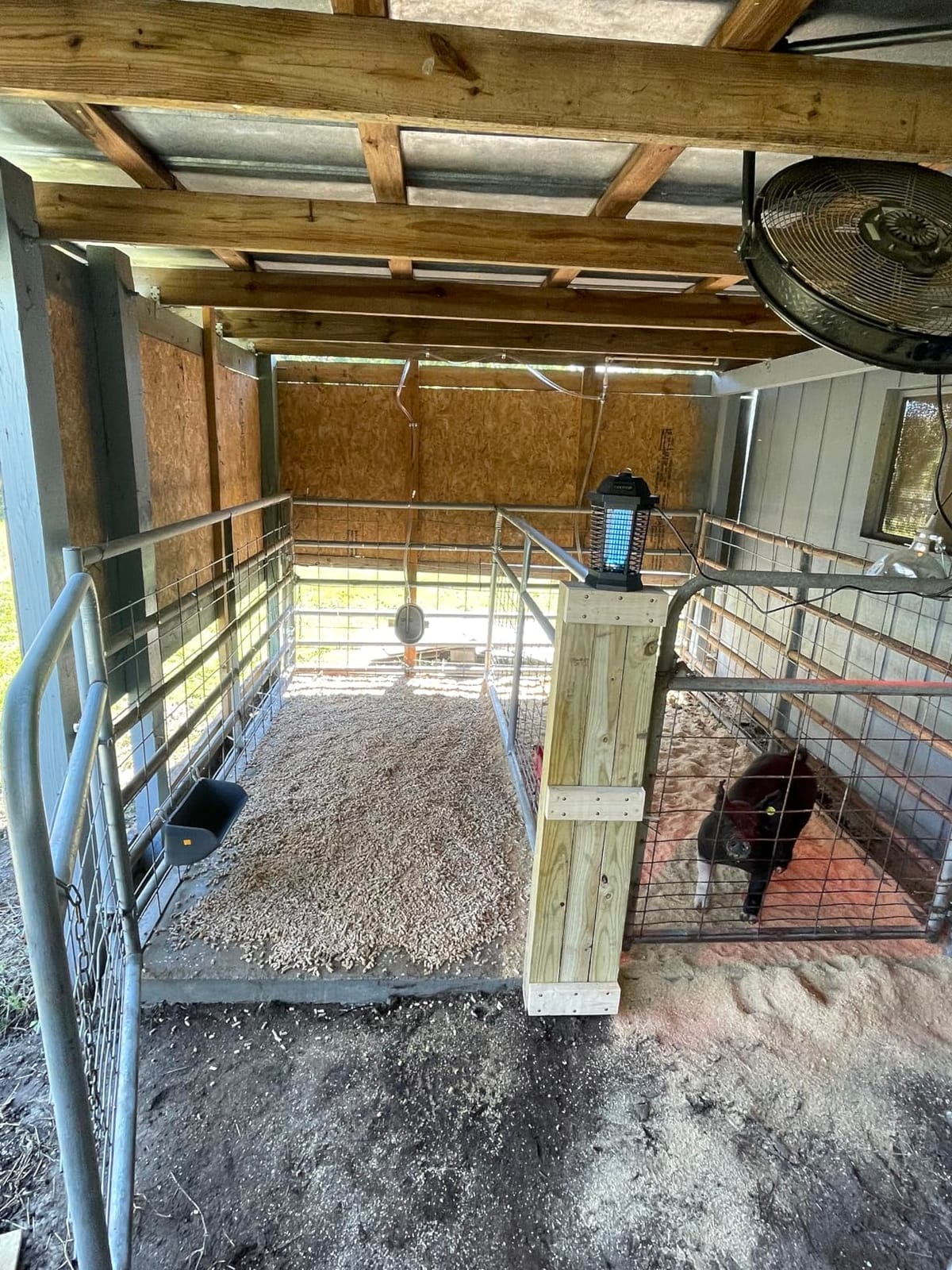 Large Stainless Steel Waterer for Hogs, Pigs and Other Farm Animals by RNL RabbitNippLes customer photo 1