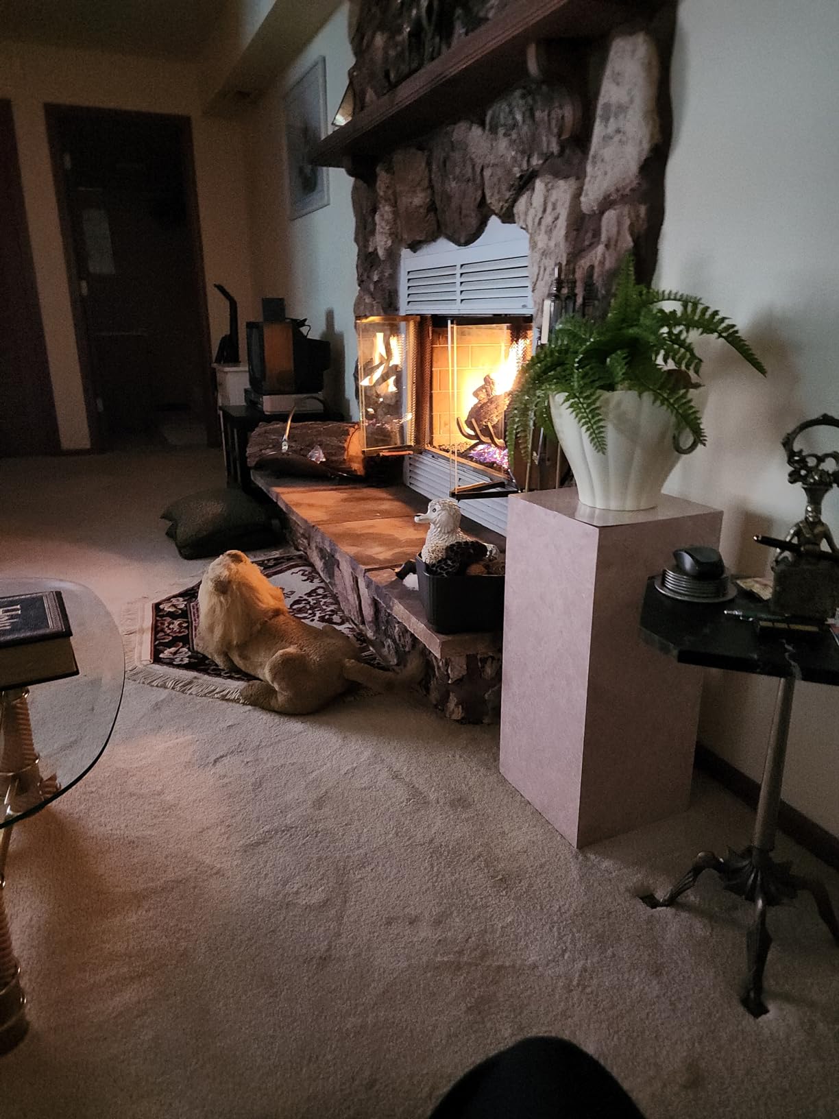 Duluth Forge Vented Natural Gas Fireplace Log Set - 24 in., 55,000 BTU, Match Light, Heartland Oak - Model# FNVL24-1 customer photo 1