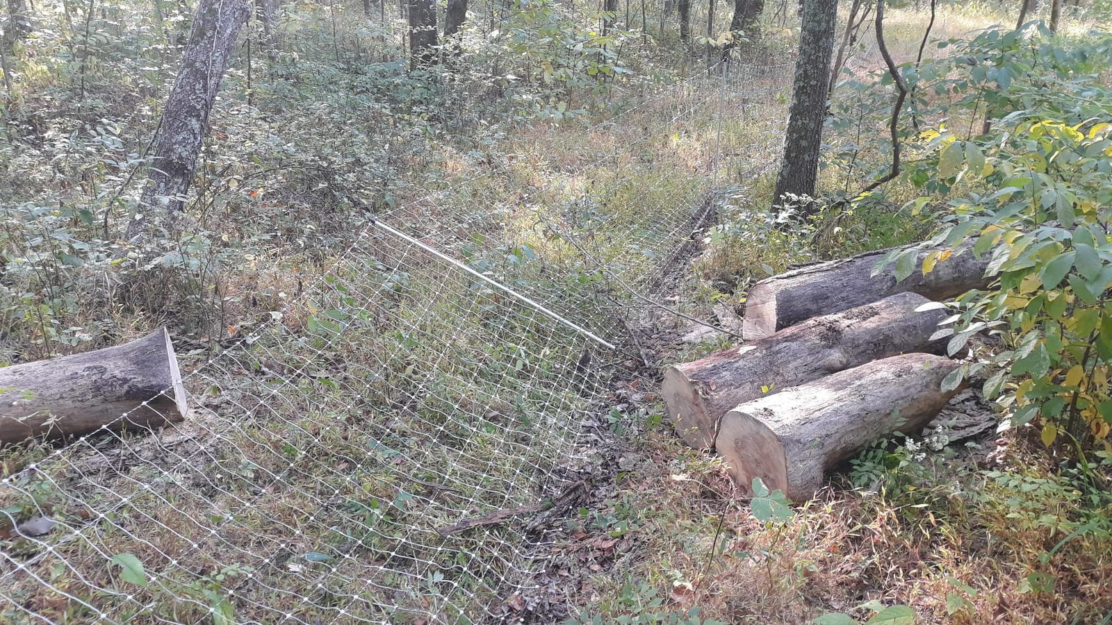 Premier 1 PoultryNet® Electric Fence for Chickens - 48