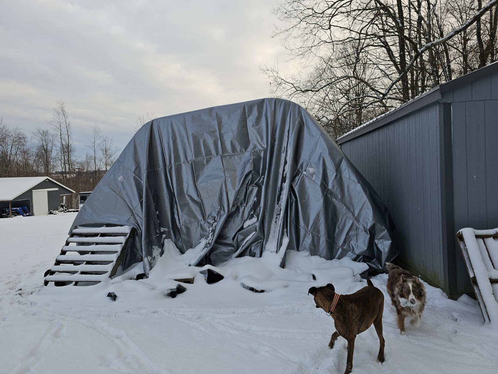 Mytee Products 25' x 48' Heavy Duty 8oz Hay Tarps - 14.5 mil Waterproof Poly Tarpaulin with UV & Frost Resistance, Silver/Black, Tear-Proof Cover for Agriculture, Equipment customer photo 2