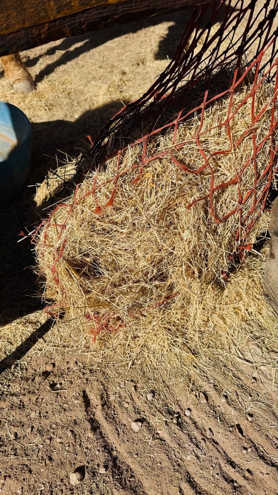 Weaver Leather Slow Feed Hay Bale Net customer photo 1
