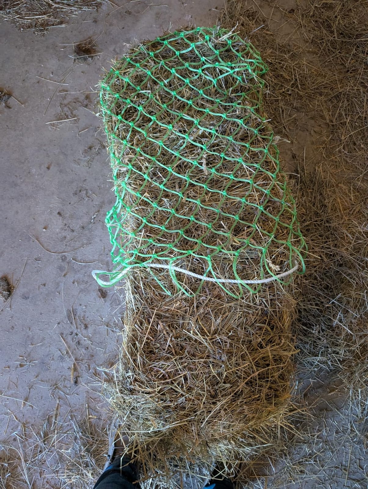 Weaver Leather Slow Feed Hay Bale Net customer photo 2