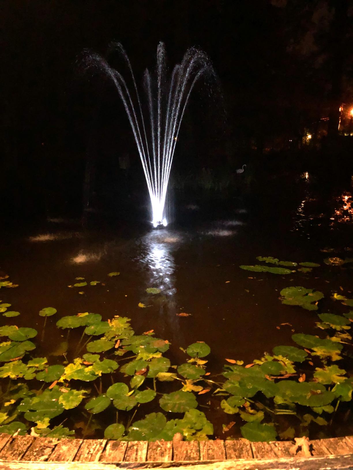 Pond Boss DFTN12003L Floating Fountain With Lights, 50 Foot Power Cord, 1/4 hp customer photo 1