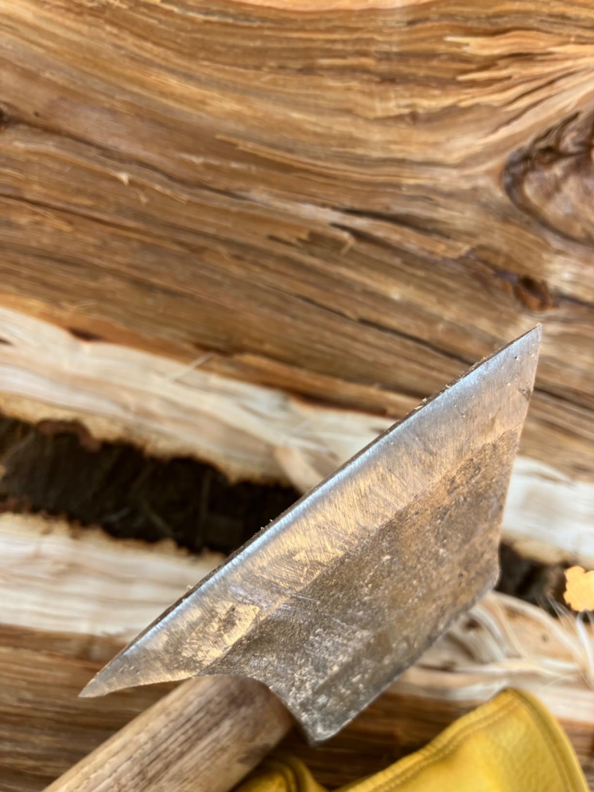 1844 Helko Werk Germany Traditional Saxon Heavy Log Splitting Axe (13588) | Made in Germany Heavy Duty Splitting Axe for Chopping Firewood and Splitting Logs Head 6-1/4 lbs, Handle 31 in. customer photo 2
