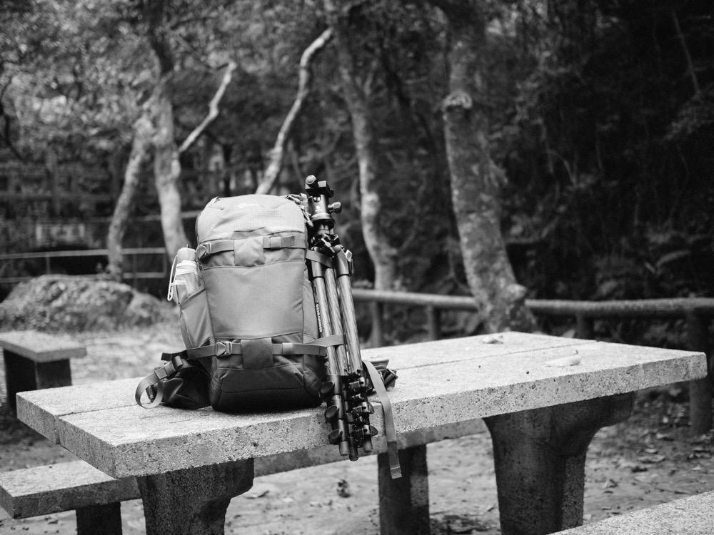 Lowepro LP37014-PWW, Flipside Trek BP 250 AW Backpack for Camera with ActiveZone Suspension System, Tablet Compartment, Grey/Dark Green customer photo 2
