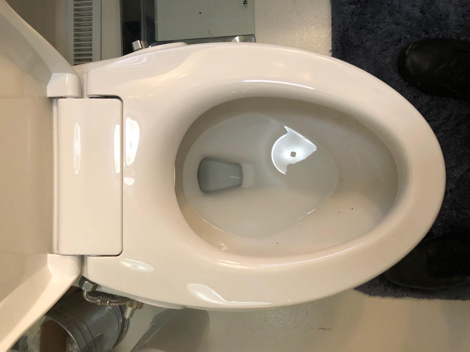 Hibbent Elongated Bidet Toilet Seat with Slow Close, Non-Electric Bidet Attachment for Toilet Seat with Dual Nozzle, Bidet Sprayer with Adjustable Self-Cleaning Nozzles, Brass T Adapter customer photo 1