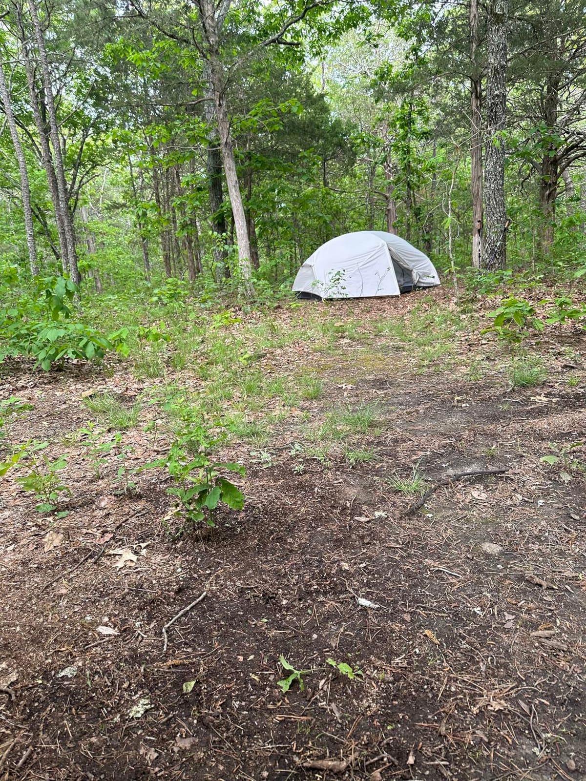 Naturehike Mongar 2 Person Backpacking Tent, 3 Season Ultralight Lightweight 2 Person Tent, Double Layer Free Standing Tents for Camping Hiking Cycling customer photo 2