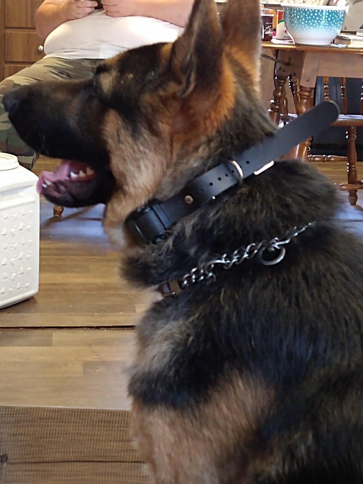 Educator ET-800 The Boss E Collar for Dog Training with Remote - 1 Mile Range, Waterproof, 100 Blunt Stimulation Levels, Tone or Vibration Mode, Night Light Tracking for Small, Medium & Large Dogs customer photo 2