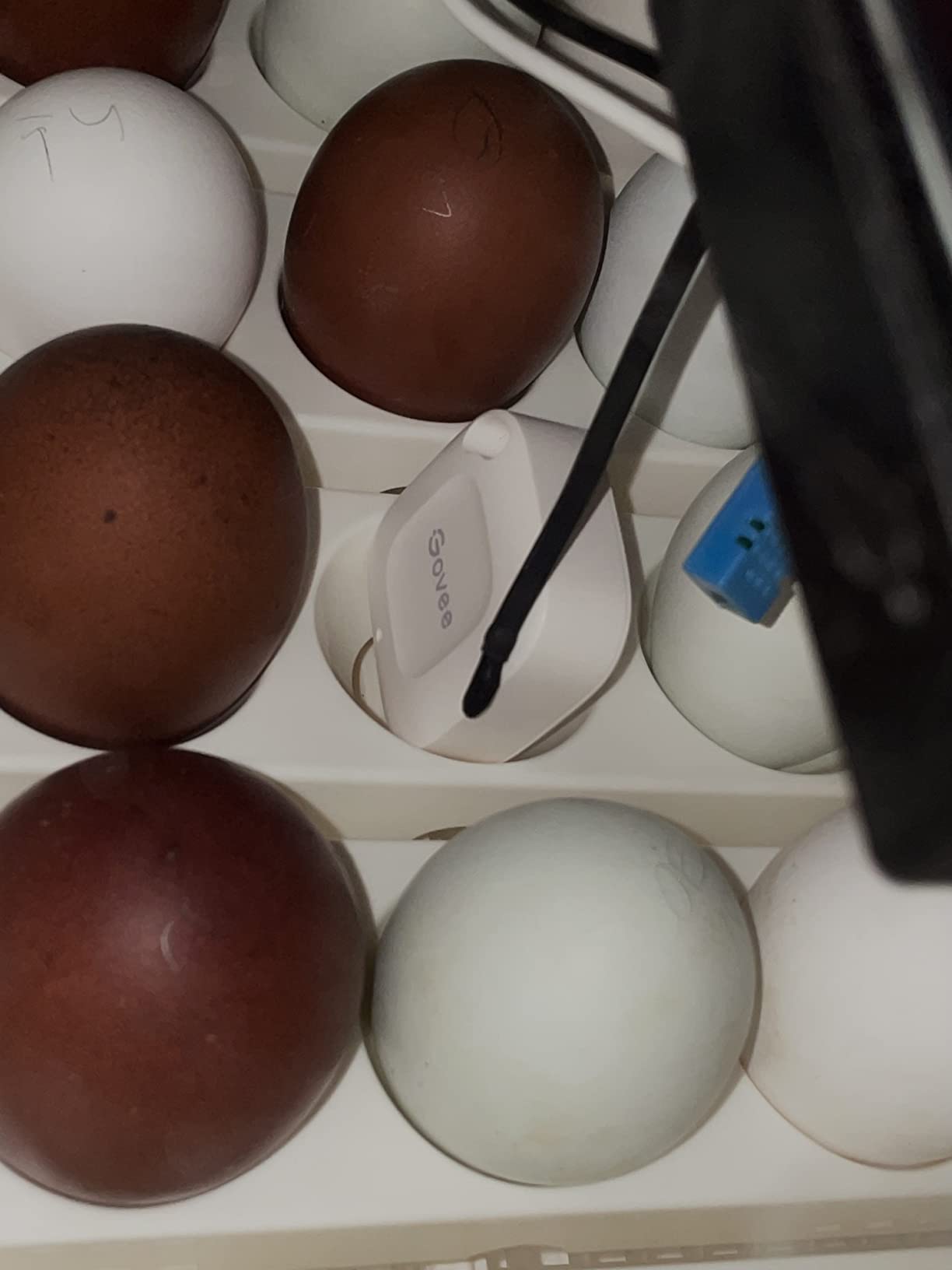 Farm Innovators Model 2450 Pro Series Digital Circulated Air Egg Incubator with Automatic Egg Turning and Humidity Control, 41 Egg Capacity | 4 dozen egg capacity; auto turner; integrated fan; digital display w/temperature, humidity, days to hatch; large window; 40W customer photo 1