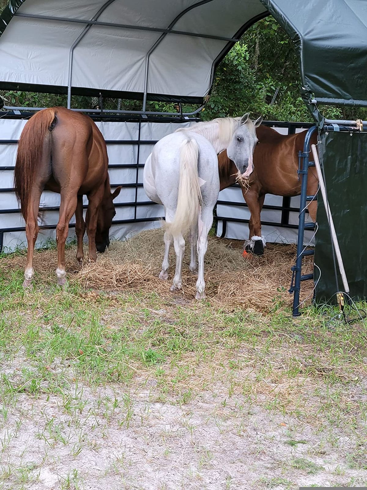 ShelterLogic 12'x12' Equine, Livestock and Agricultural Shelter Enclosure Kit (Corral Panels and Shelter Not Included) customer photo 1