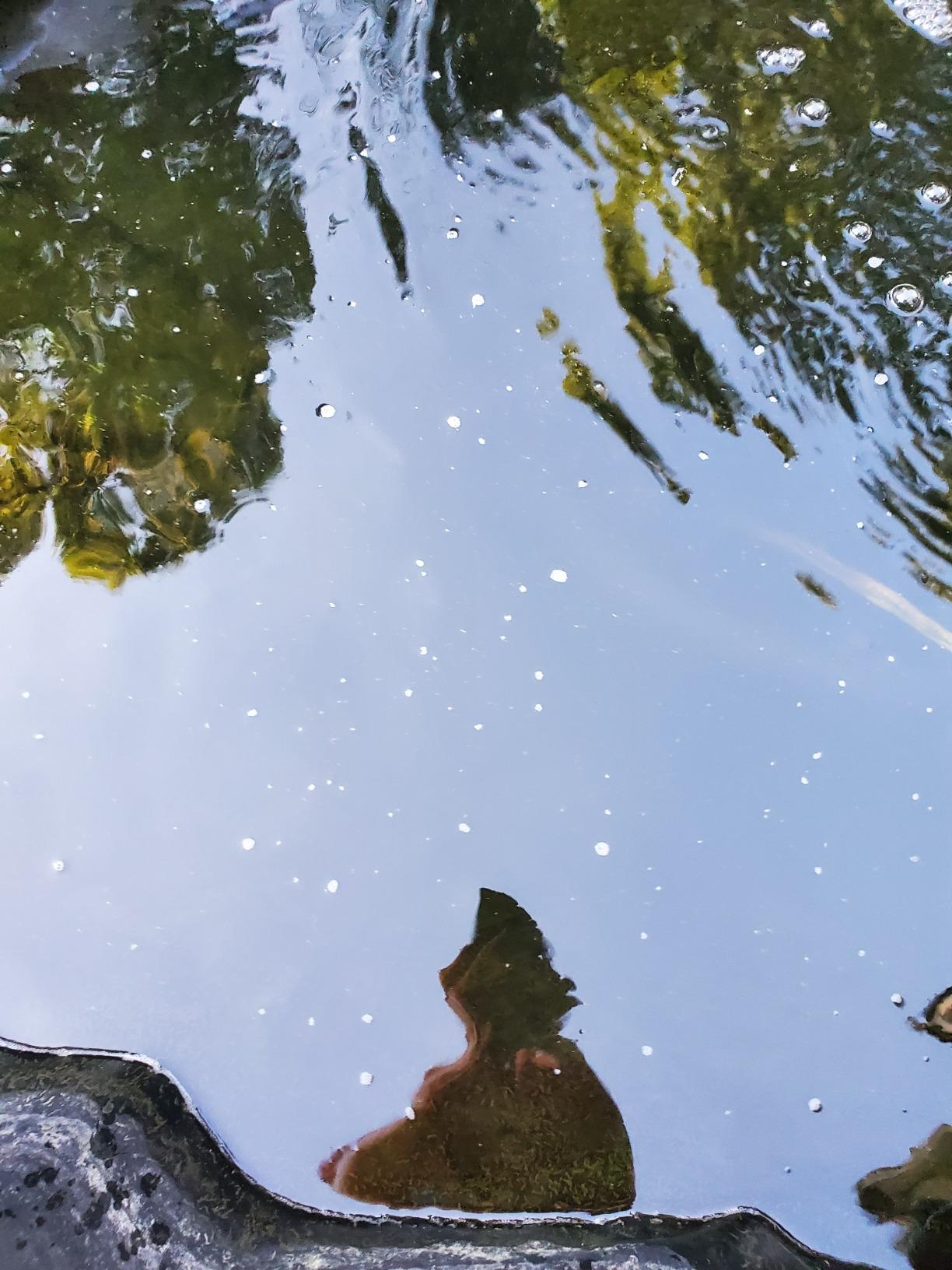 Aquascape Pro Air 20 Pond Aerator and Aeration Kit with Tubing and Self-Cleaning Diffuser, Out-Door Rated| 61009 customer photo 1