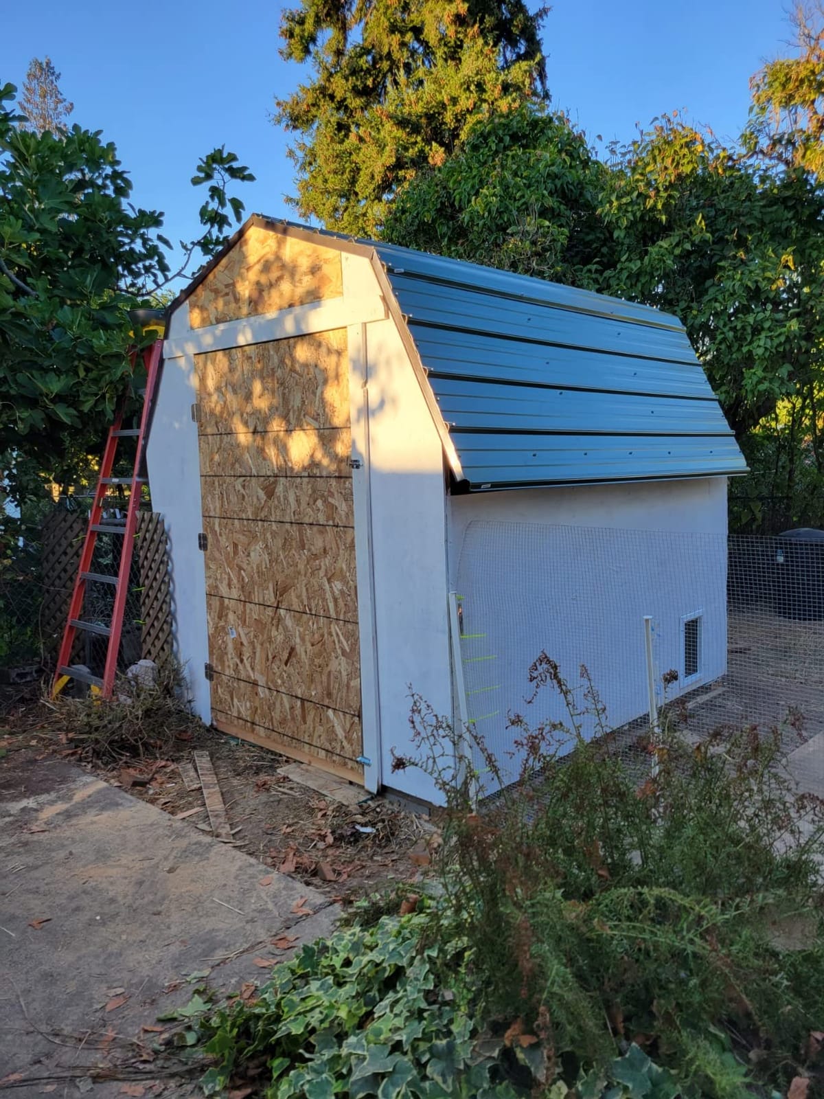 Instant Framer Kit Barn Style Shed Kit customer photo 2