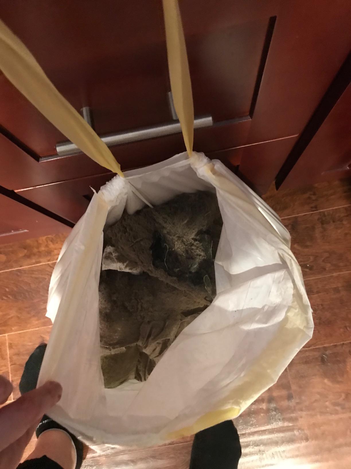 Miele Blizzard CX1 Cat & Dog Bagless Canister for Deep Carpet Cleaning customer photo 1