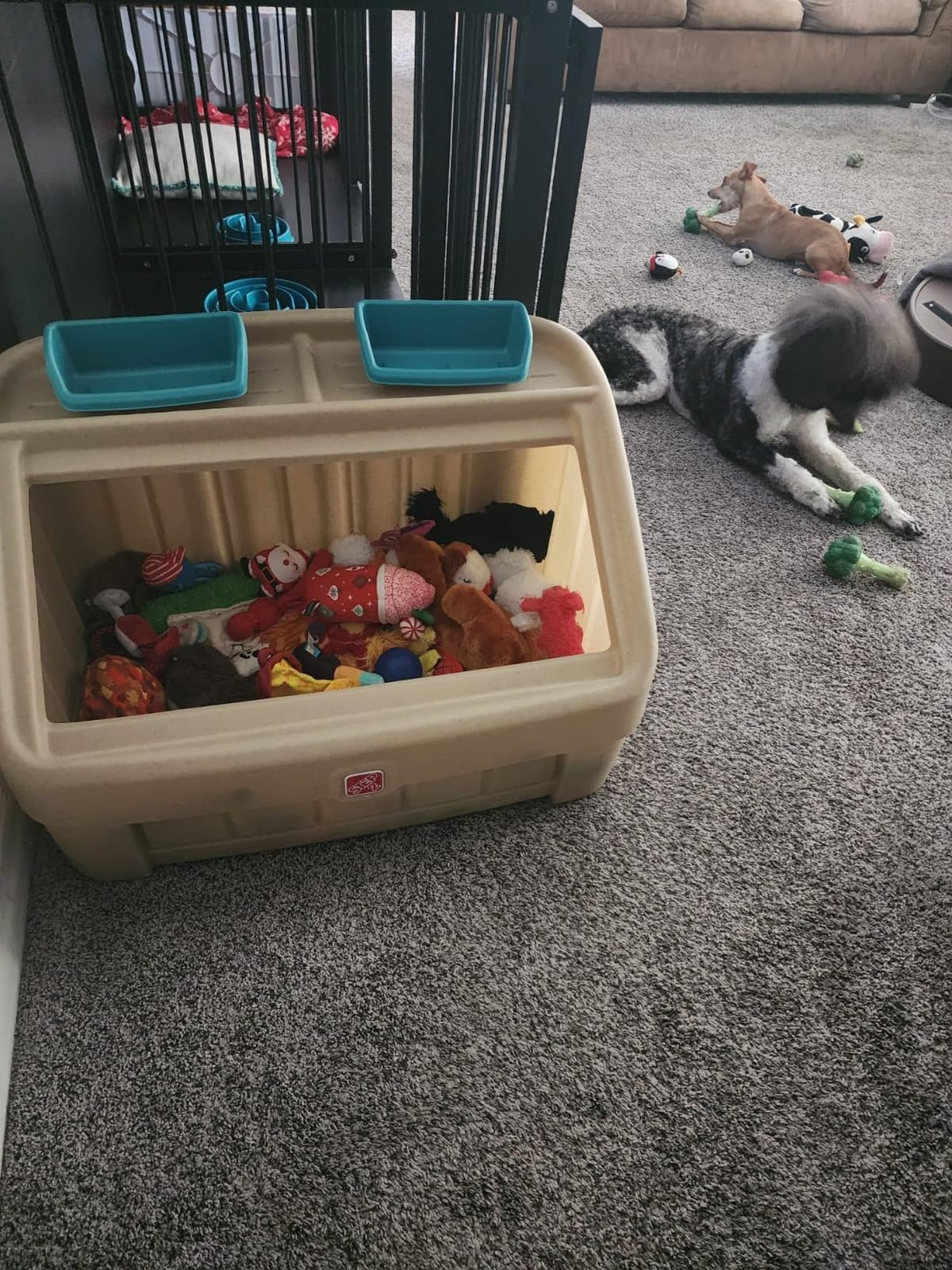 Step2 2-in-1 Toy Box & Art Lid, Kids Toy Storage Bin & Organizer, Easel & Chest in One, Made of Durable Plastic, For Toddlers 2+ Years Old, Gray customer photo 2