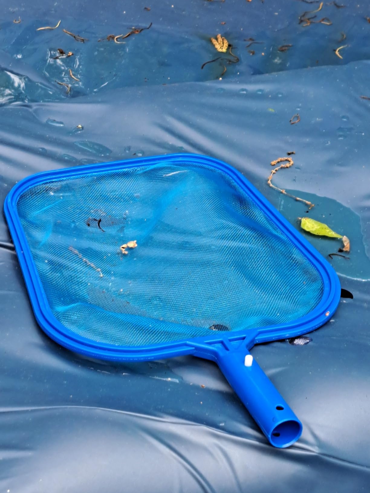 Sunnyglade 17.5x11.8in Swimming Pool Cleaner Supplies Pool Net Skimmer | Professional Heavy Duty Pool Leaf Rake Fine Mesh Frame Net/Cleaning Leaf Skim Net flat skimmer pool nets pool accessories customer photo 1
