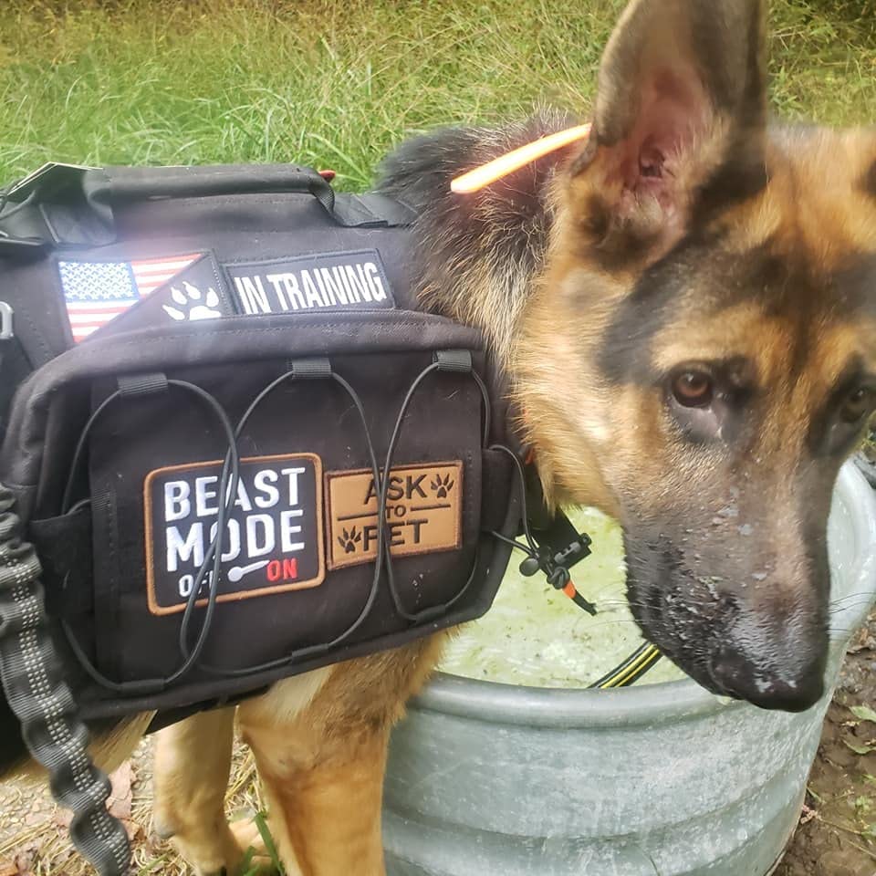 SportDOG WetlandHunter 425X Remote Trainer, Camouflage, 500-Yard Range | Tone & Vibration, 21 Levels of Static, Waterproof, For Dogs 8 Lbs and up, 2-Hour Quick Charge customer photo 1