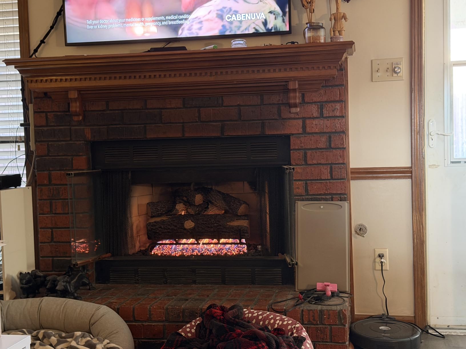 Real Fyre Woodland Oak 24-Inch Vented Gas Logs, Hand-Painted Ceramic, Logs Only (No Burner) customer photo 1