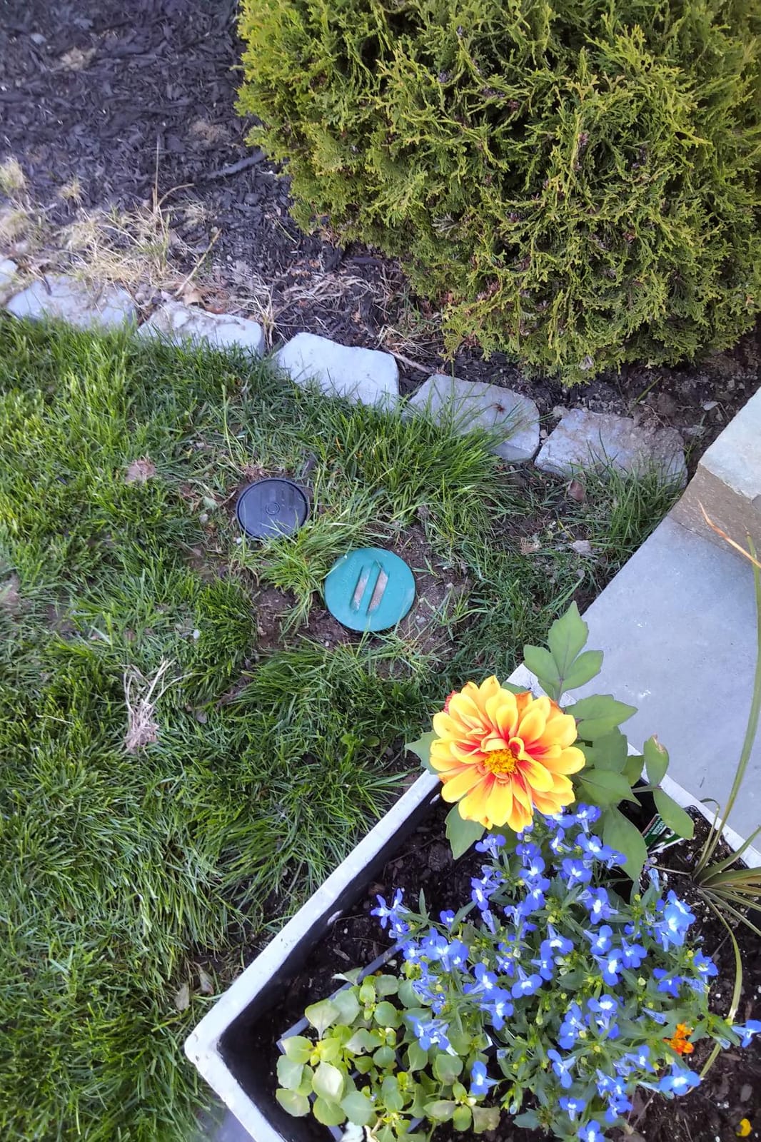 Rain Bird LG3HE In-Ground Impact Sprinkler with Click-N-Go Hose Connect customer photo 2