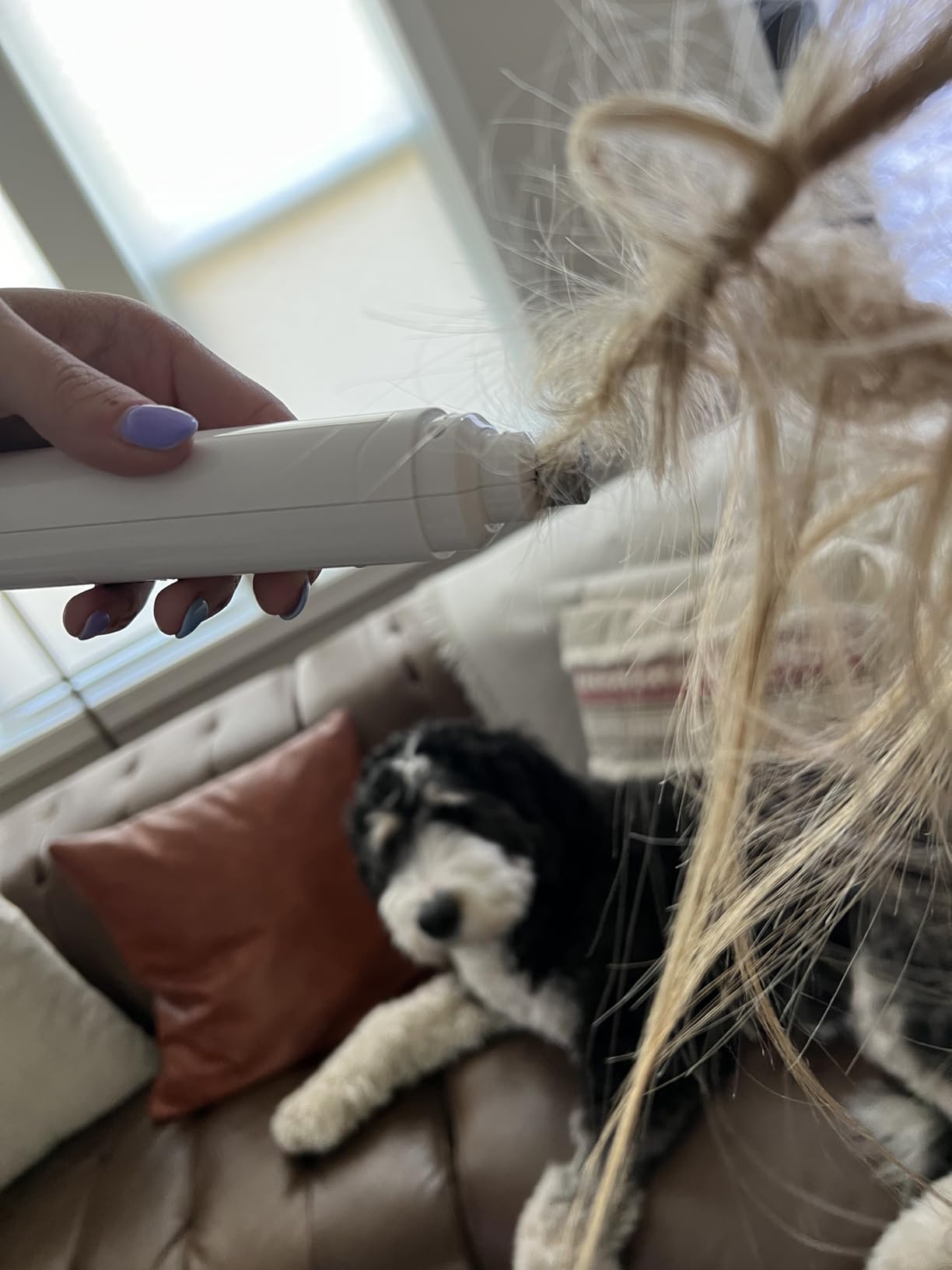 Casfuy Dog Nail Grinder Upgraded - Professional 2-Speed Whisper-Quiet Electric Pet Nail Trimmer Painless Paws Grooming & Smoothing for Small Medium Large Dogs & Cats (White) customer photo 1