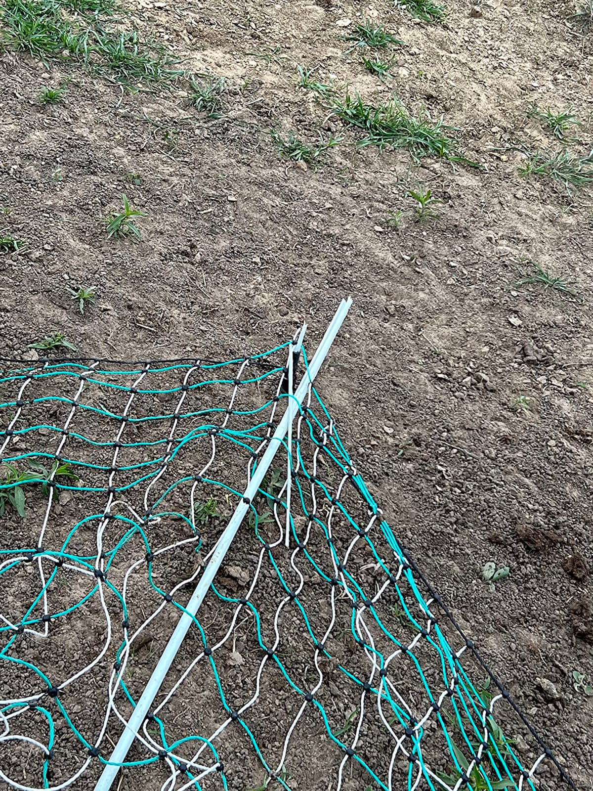 RentACoop Poultry Netting Electric Fence - 48