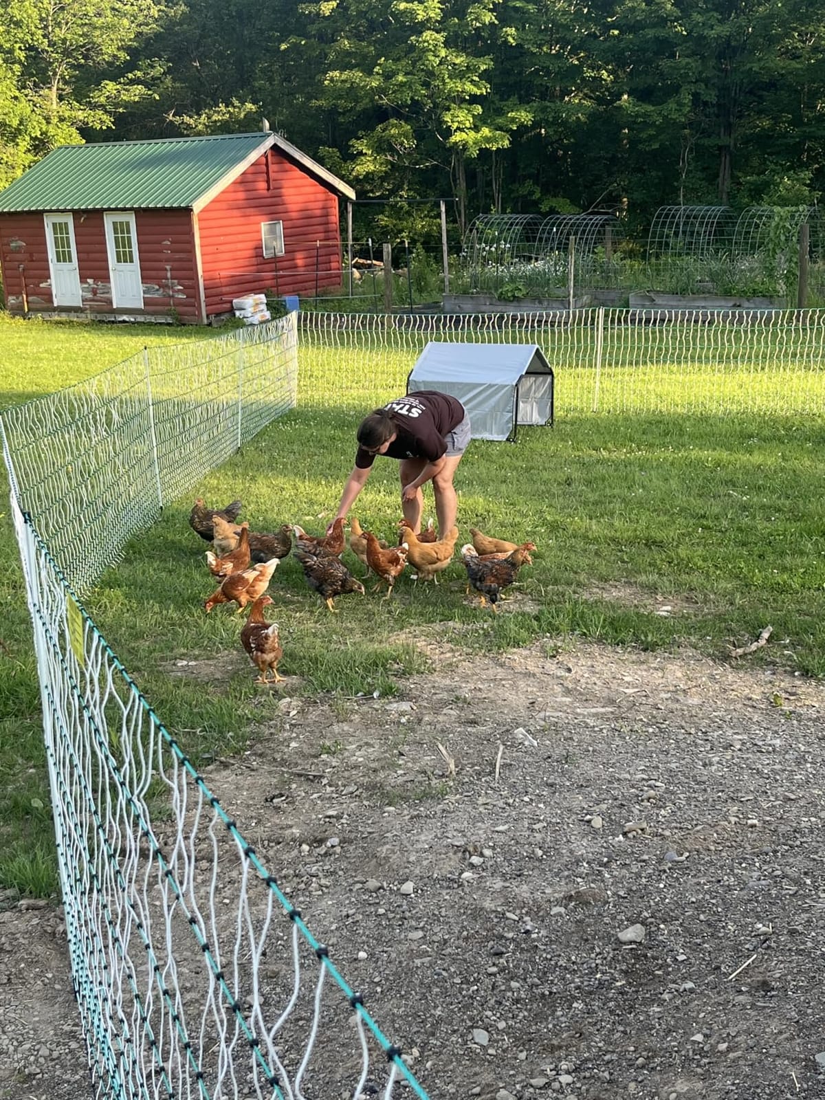 RentACoop Poultry Netting Electric Fence - 48