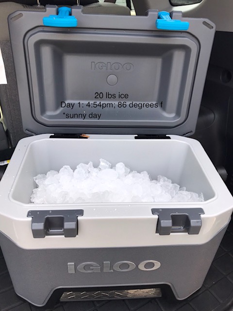 Igloo BMX Cooler | Insulated Hard Shell Ice Chest customer photo 2