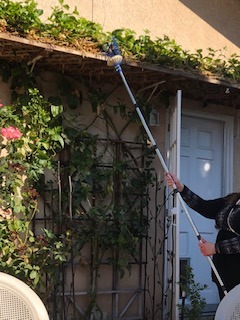 Oak Leaf Fruit Picker Pole with Basket, 13 FT Length Adjustable | Apple Orange Picker Tool Tree Fruit Catcher with Lightweight Stainless Steel Connecting Pole, Foam Pad, 2 Metal Clamp customer photo 2