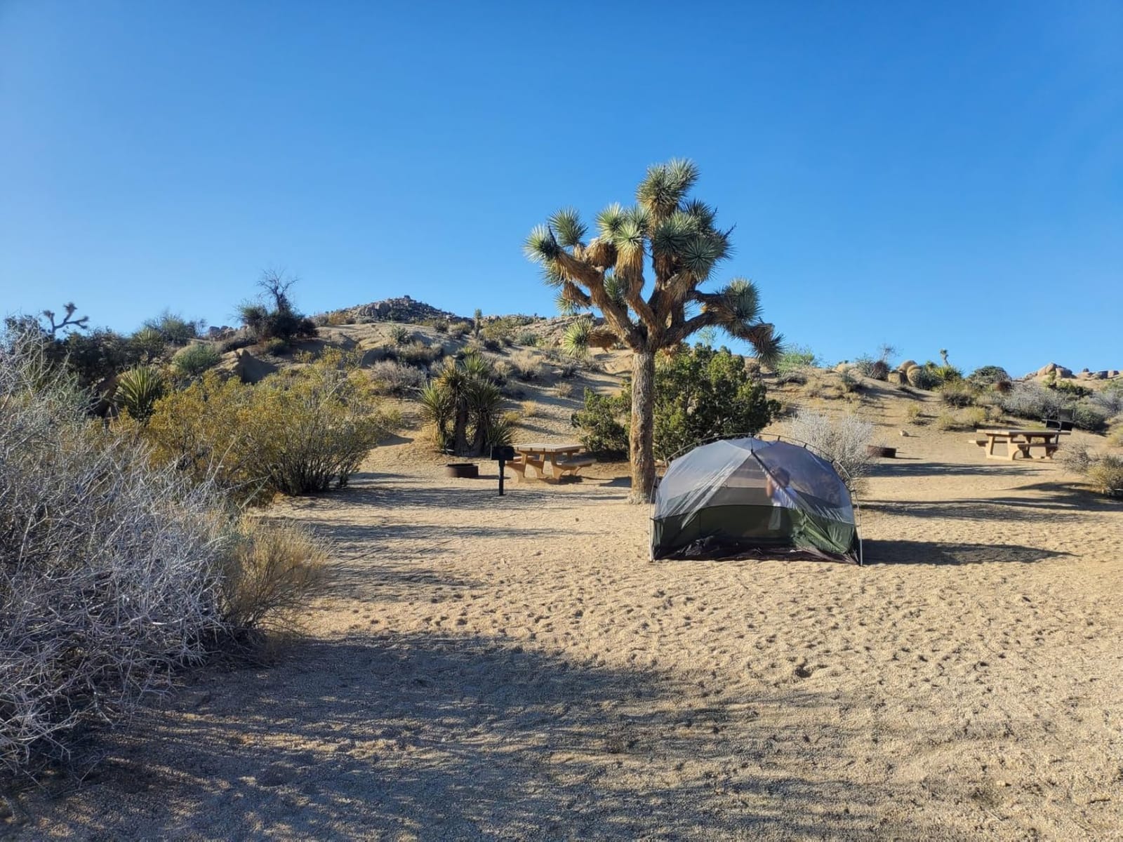 Forceatt Tent for 2 and 3 Person is Waterproof and Windproof, Camping Tent for 3 to 4 Seasons,Lightweight Aluminum Pole Backpacking Tent Can be Set Up Quickly,Great for Hiking customer photo 2