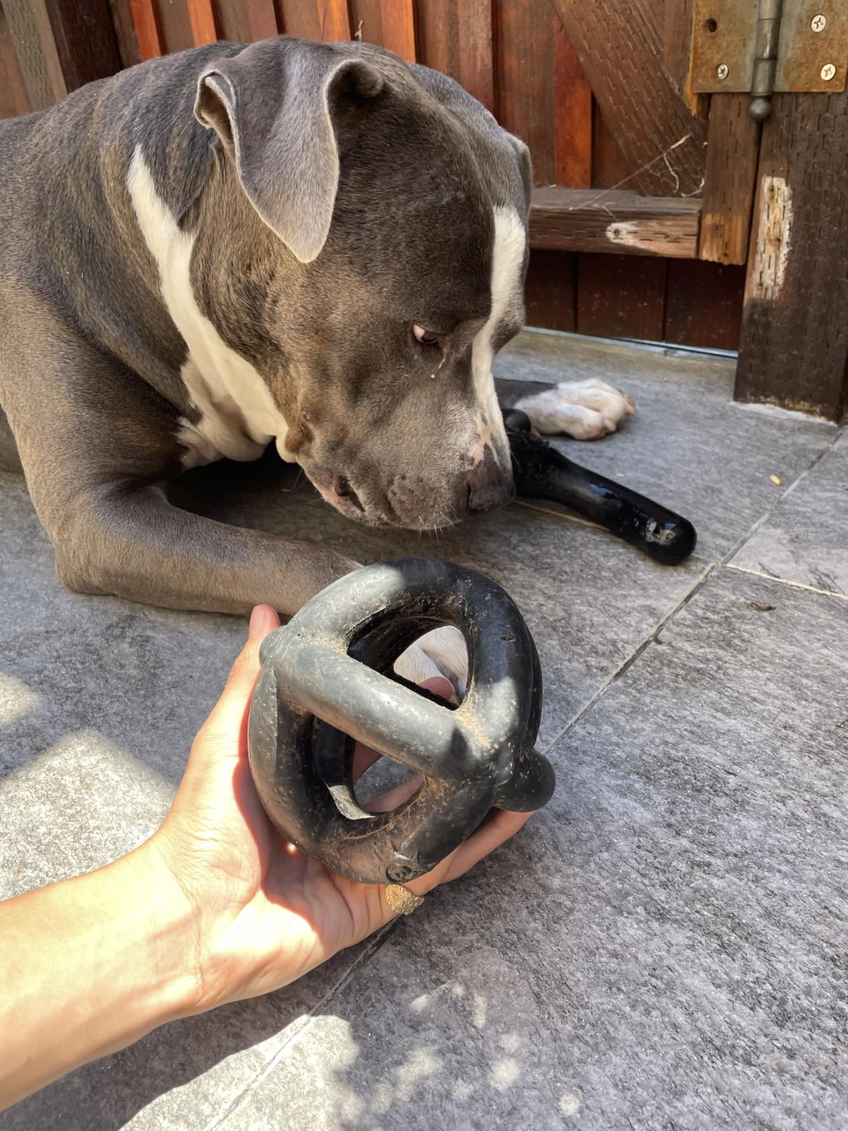 Monster K9 Ring Ball | Virtually Indestructible. Lifetime Guaranteed. | VULCRON Natural Rubber | Durable, Heavy Duty Dog Chew Toy for Aggressive Chewers | Medium & Large Breeds, 5.5