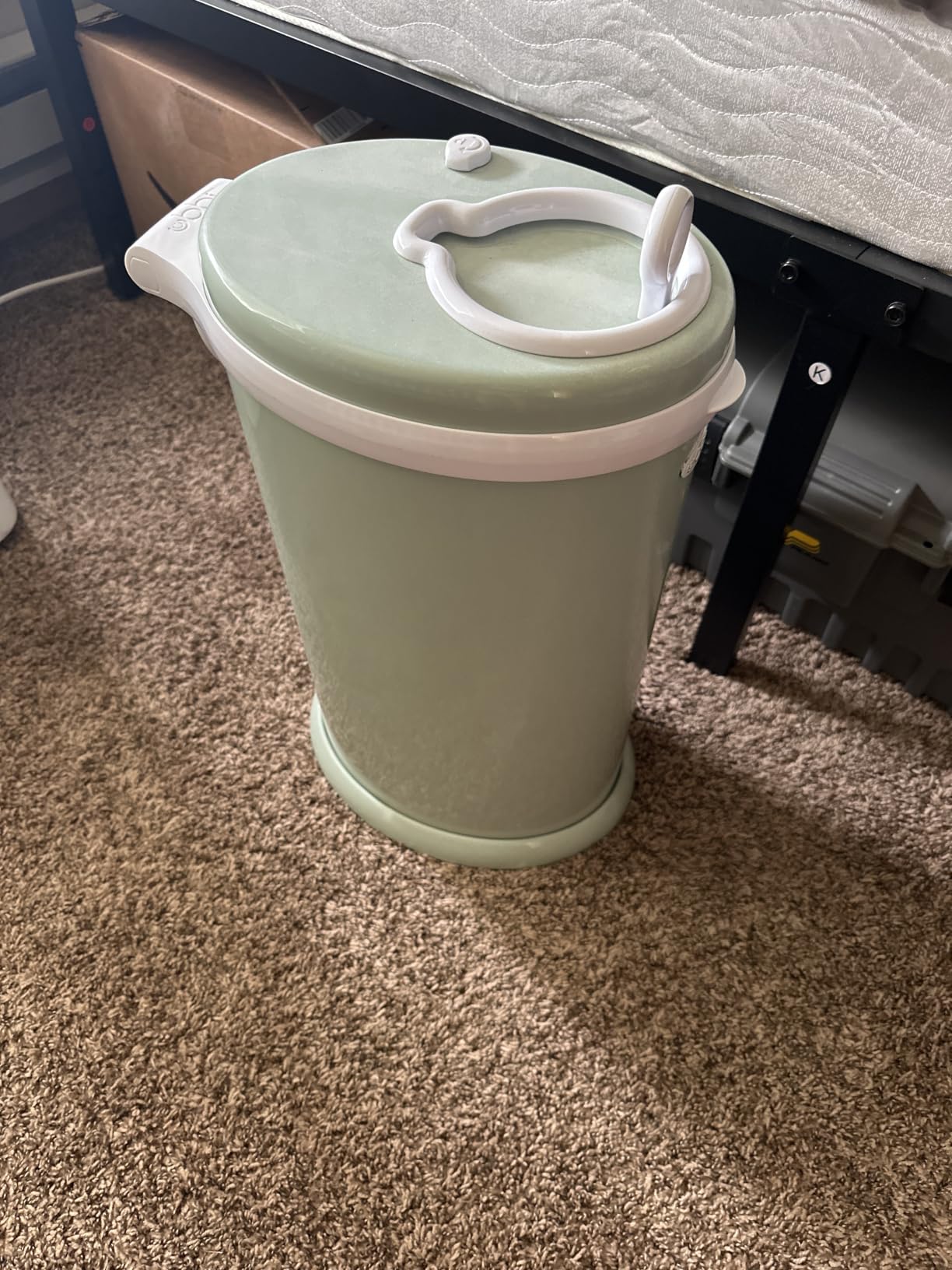 Steel Diaper Pail, Odor Locking, No Special Bag Required, Award-Winning, Registry Must-Have, Sage Green customer photo 2