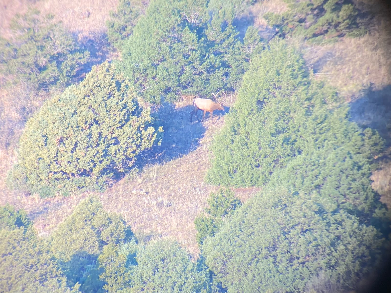 Athlon Optics Ares UHD 15-45x65 Spotting Scope customer photo 2