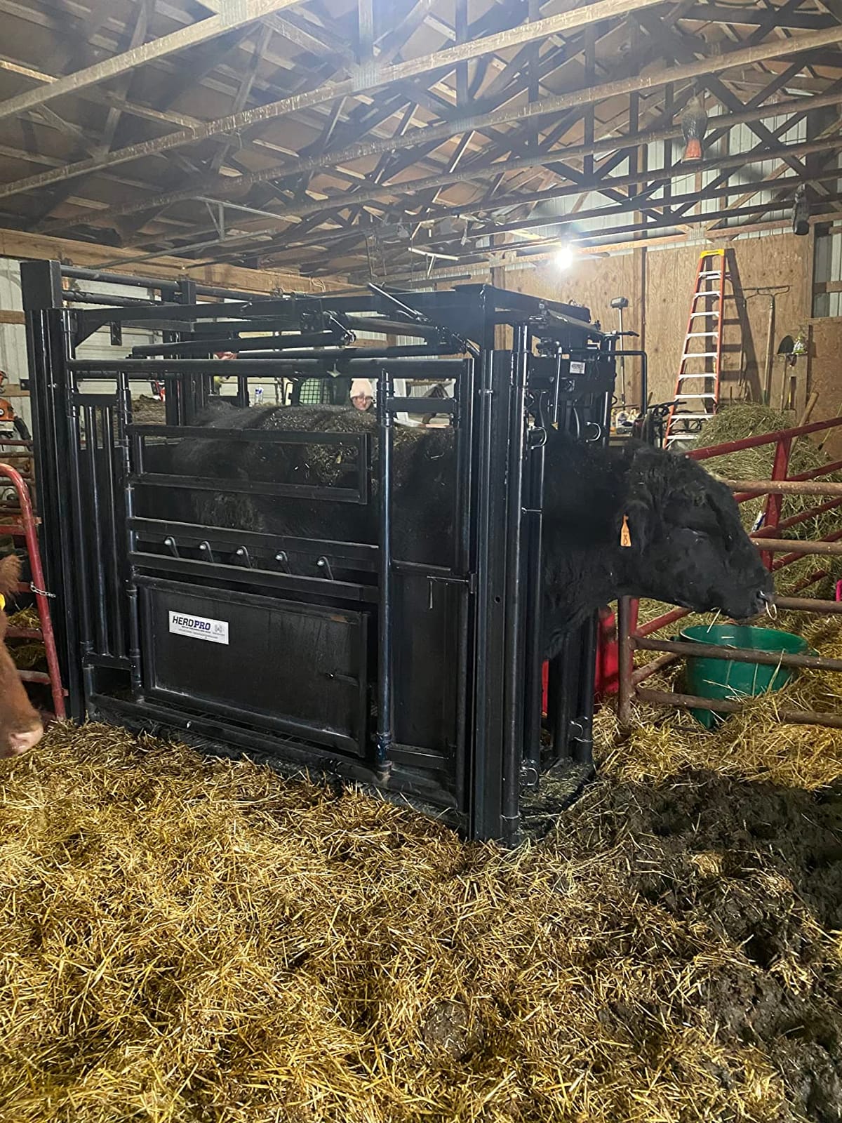 10000lb Load Bar Scale Set for Cattle, Hog, Pig, Goat, Sheep, Alleyway, Chute and Cage Scale | Two Weigh Bar and One Indicator Set (30