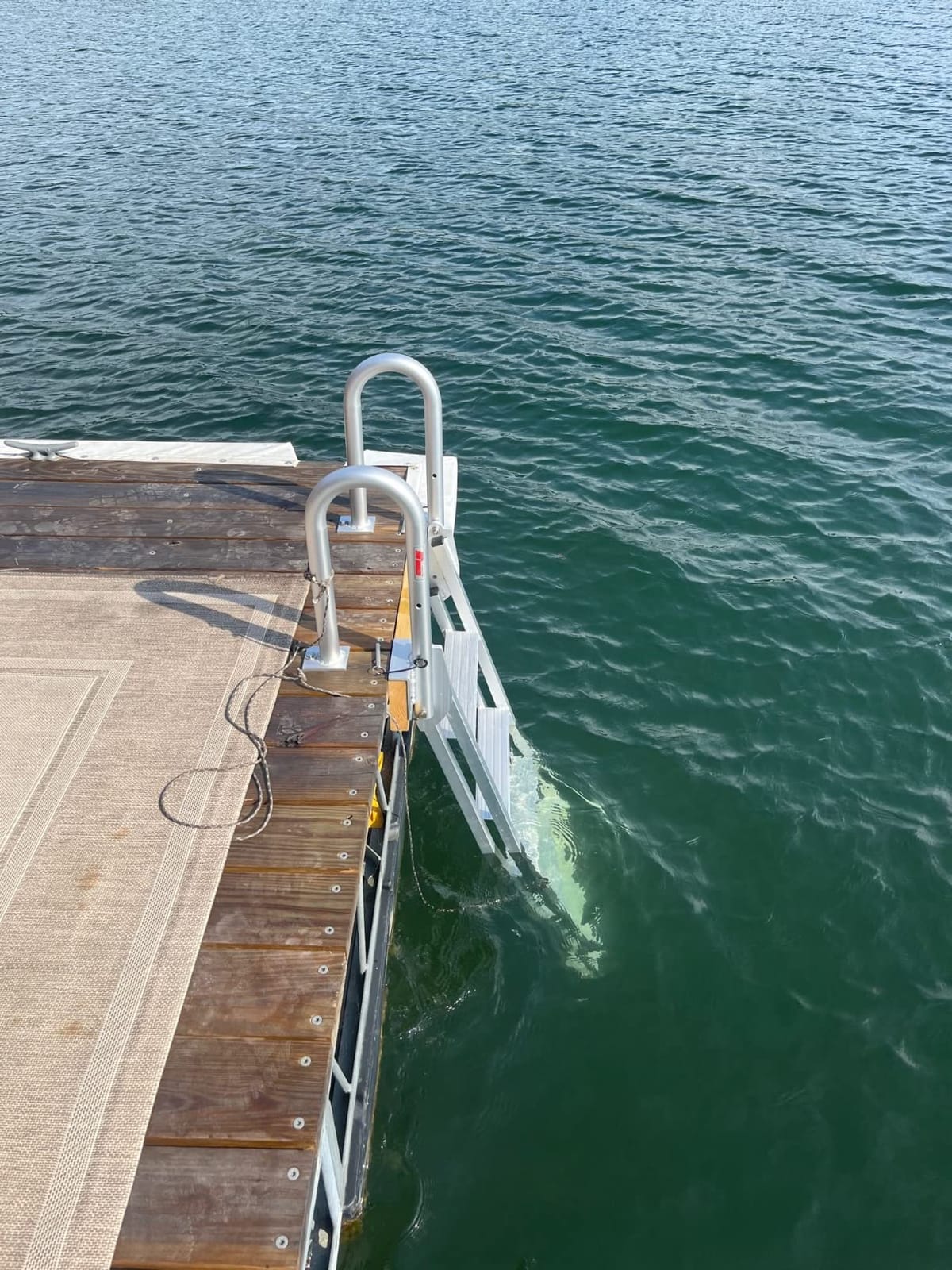 Extreme Max 3005.4227 Heavy-Duty Aluminum Slanted Flip-Up Dock Ladder with Comfort Use Round Tube Frame - 4-Step, 300 lbs. Weight Capacity customer photo 2