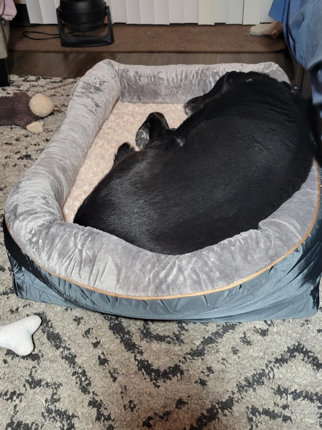 JOYELF XXLarge Memory Foam Dog Bed, Orthopedic Dog Bed & Sofa with Removable Washable Cover for Large Dogs customer photo 2