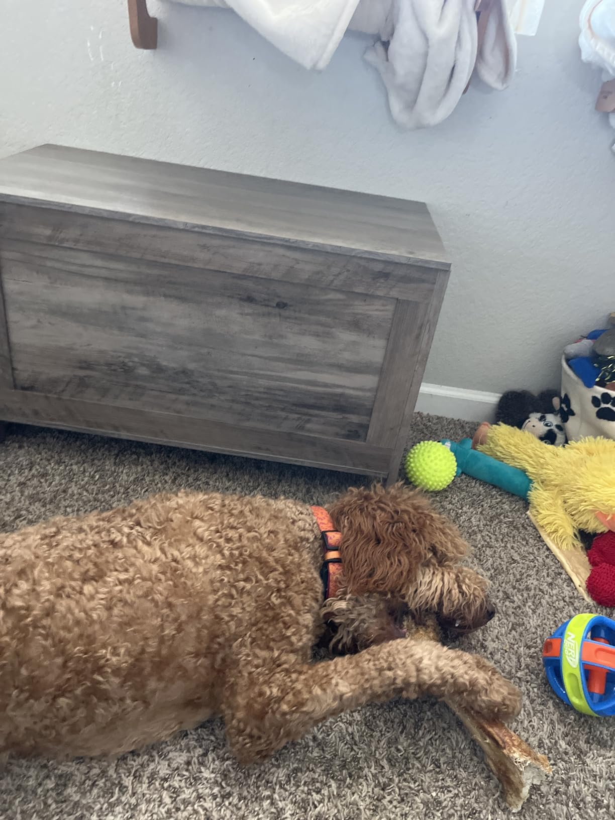 HOOBRO Toy Box, Retro Wooden Look Storage Chest with Safety Hinge, Entryway Storage Bench Supports 220 lb, 29.9 x 15.7 x 18.9 Inches Toy Chest Organizer, Easy Assembly (Greige) BG75CW01G2 customer photo 2
