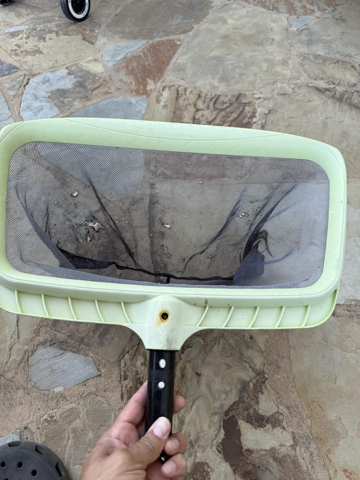 Sepetrel Swimming Pool Leaf Skimmer Net, Reinforced Frame Deep Rake Net customer photo 2