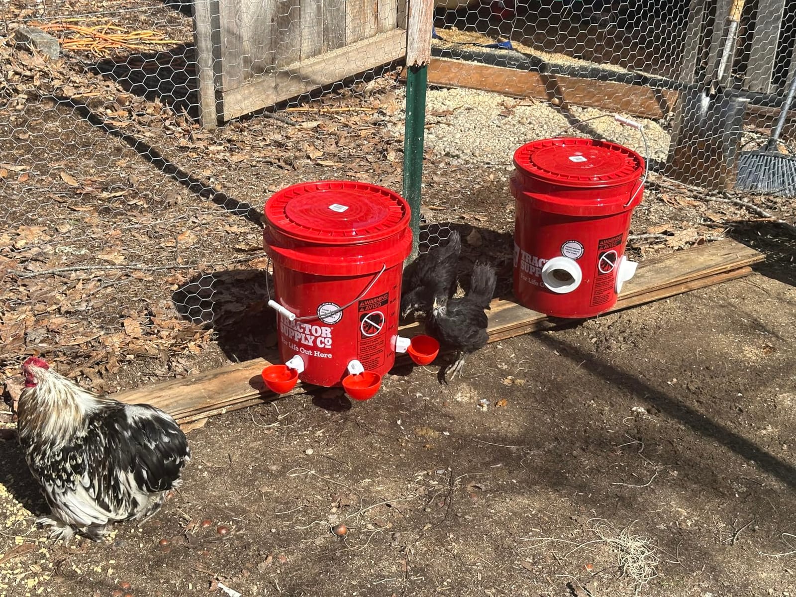 The Original Poultry Pro DIY Chicken Feeder Kit - As seen on Shark Tank, 3 Ports, Waterproof Seal Bushings & Hole Saw, Poultry Feed, Use for Buckets, Barrels, Bins & Troughs (Bucket Not Included) customer photo 2