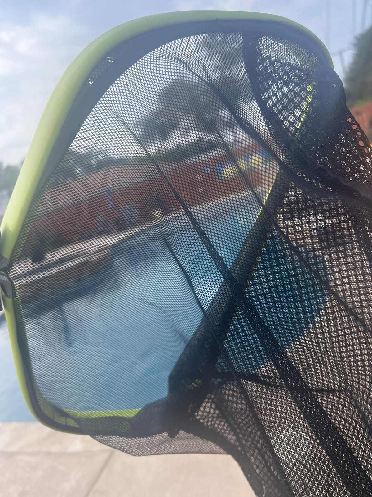 Sepetrel Pool Net, Professional Swimming Pool Leaf Skimmer Nets for Cleaning with Double-Layer Deep Big Bag, Heavy Duty Aluminum Frame & Handle Rake (Pole Not Included) customer photo 1
