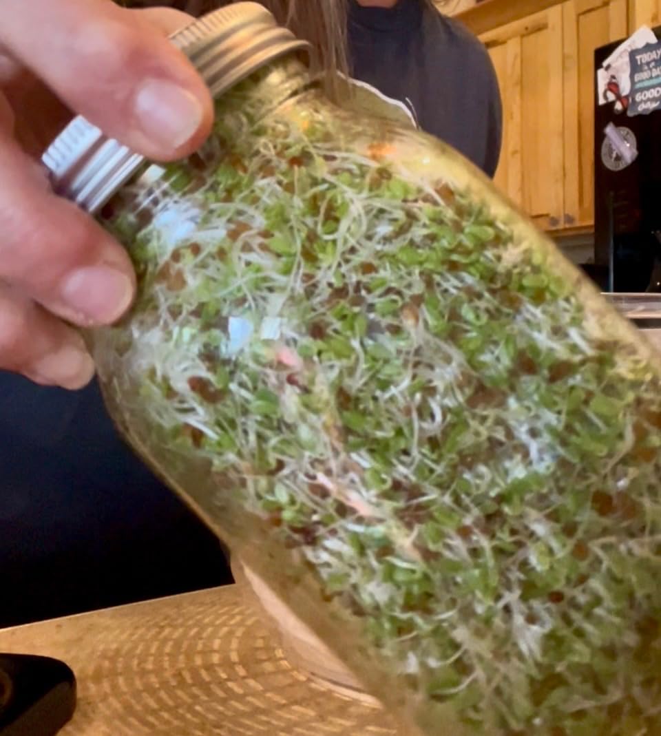 Lulonpon Sprouting Kit, 2 Sprouting Jar Kits, Wide Mouth Quart Mason Jars with Stainless Steel Screen Sprout Lids,1000ml, Stand and Canning Brush,Seed Sprouter Set for Growing Broccoli, Alfalfa customer photo 2