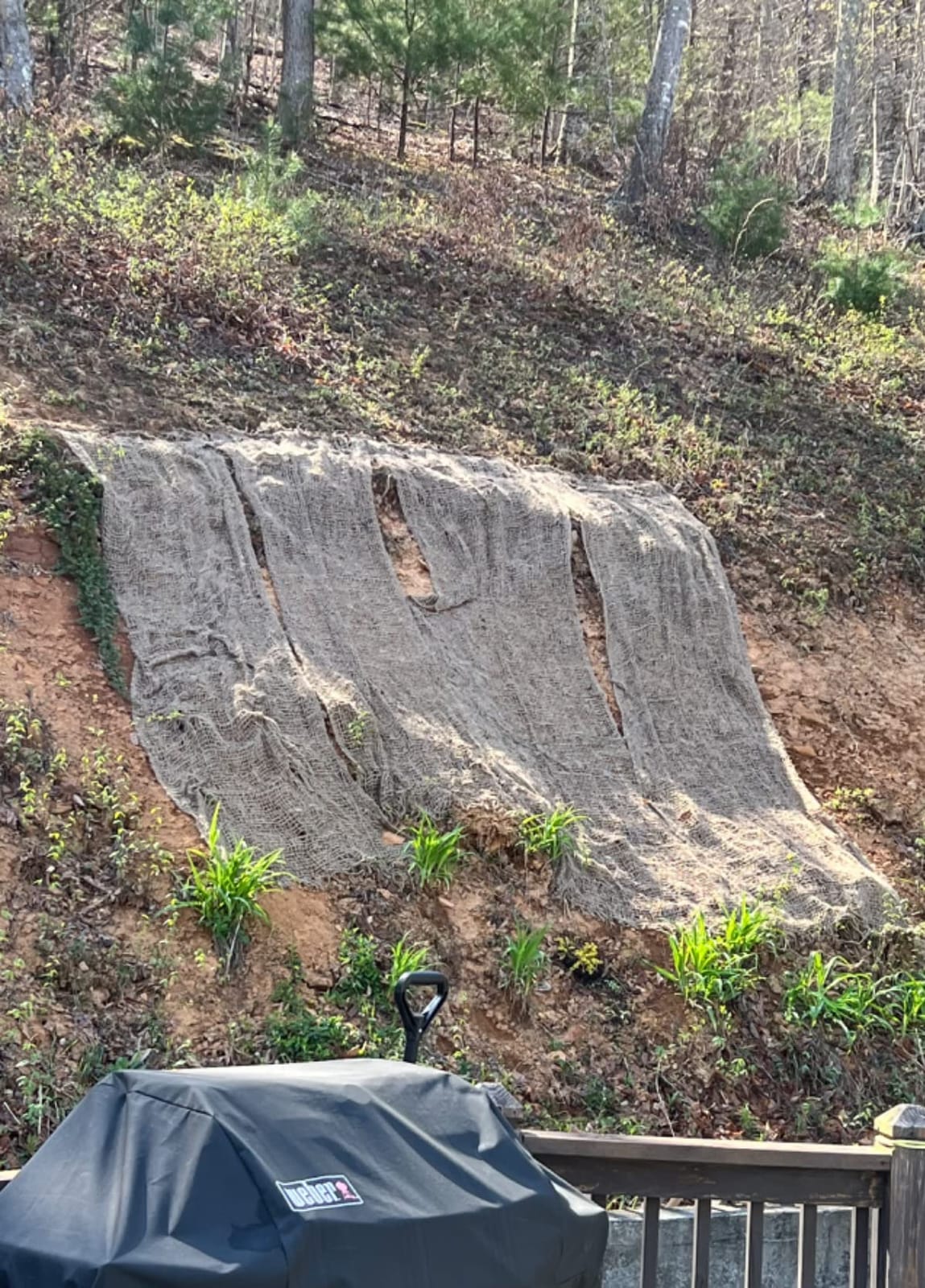 Jute Erosion Control, Soil Saver Mesh Blanket - 48