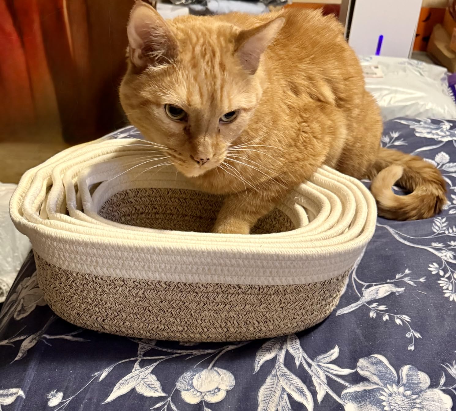 NaturalCozy 5-Piece Rectangle Storage Basket Set- Natural Cotton Rope Woven for Organizing! Small Basket for Montessori, Baby Nursery, Dog Toy Baskets, Cat Toy Box, Bathroom Organization Bin customer photo 1