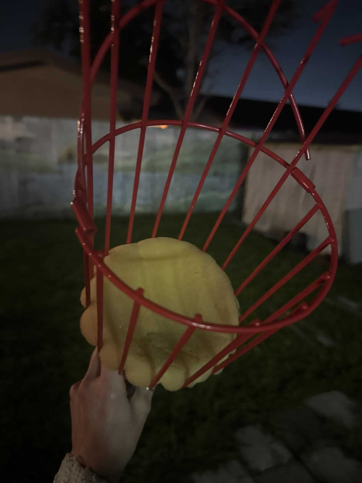 DonSail Fruit Picker Pole Tool with Basket Long Handle, 35-65 Inch Adjustable Apple Orange Picker Pole Tool with Basket for Avocado Acorn Lemon Pear Mango Tree Picker customer photo 1