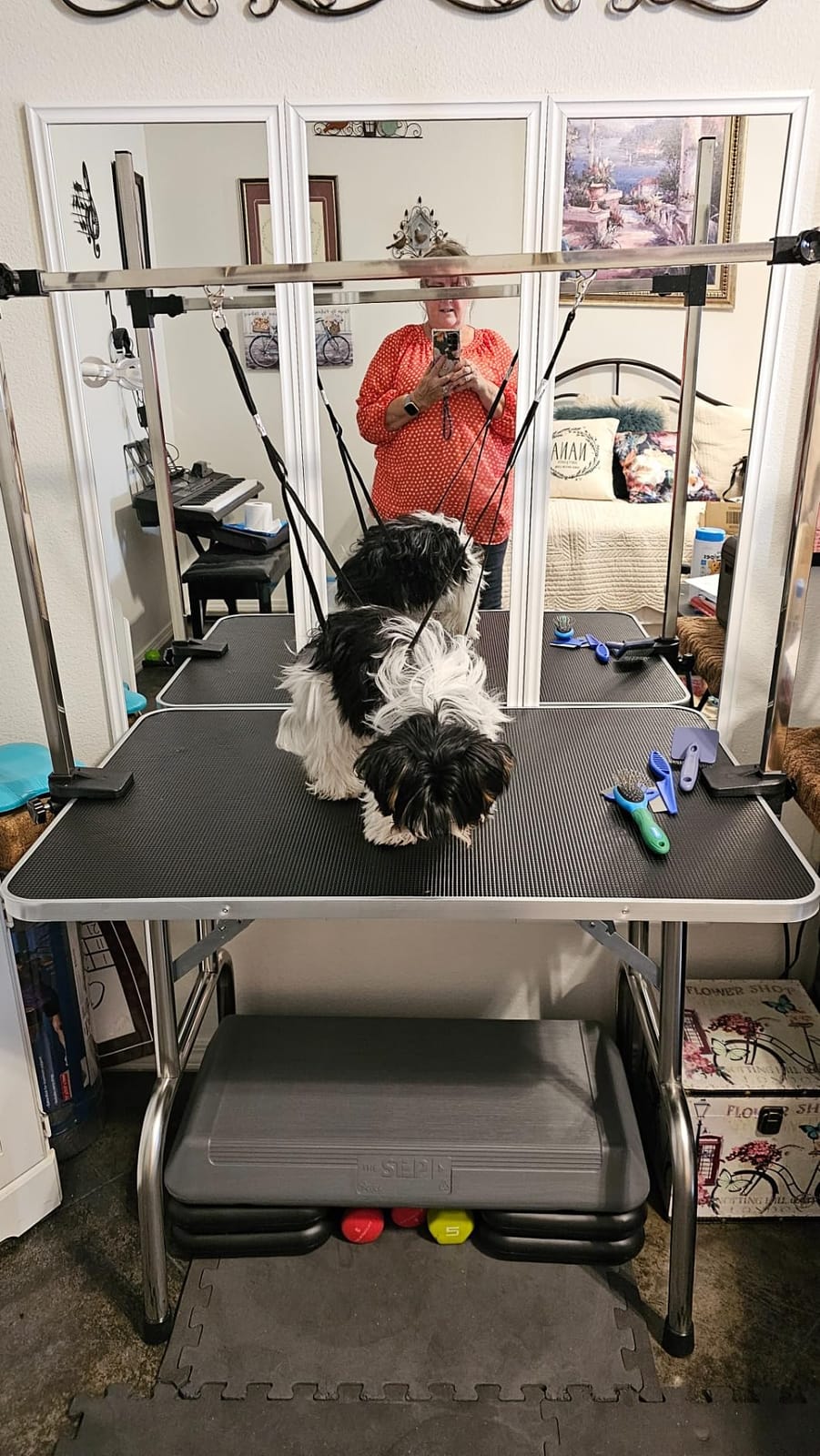 Lyromix 46''Large Dog Grooming Table, Adjustable Cat Drying Desktop with Arms, Nooses, Mesh Tray, Foldable Pet Station at Home, Maximum Capacity Up to 330Lb, 46inch, Black, 46in customer photo 2