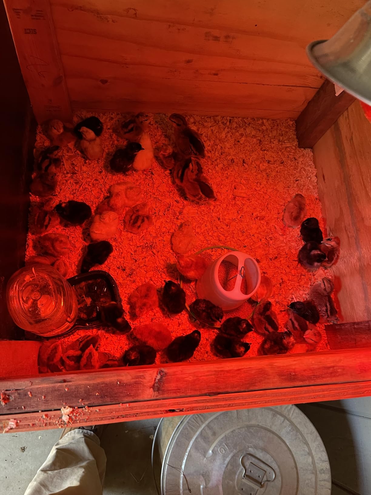 Incubators for Hatching Eggs - 120 Egg Incubator Setter & Hatcher with Automatic Turner & Digital Humidity Control Cabinet, Medium Chicken Incubator & Quail Egg Incubator by Hatching Time customer photo 1