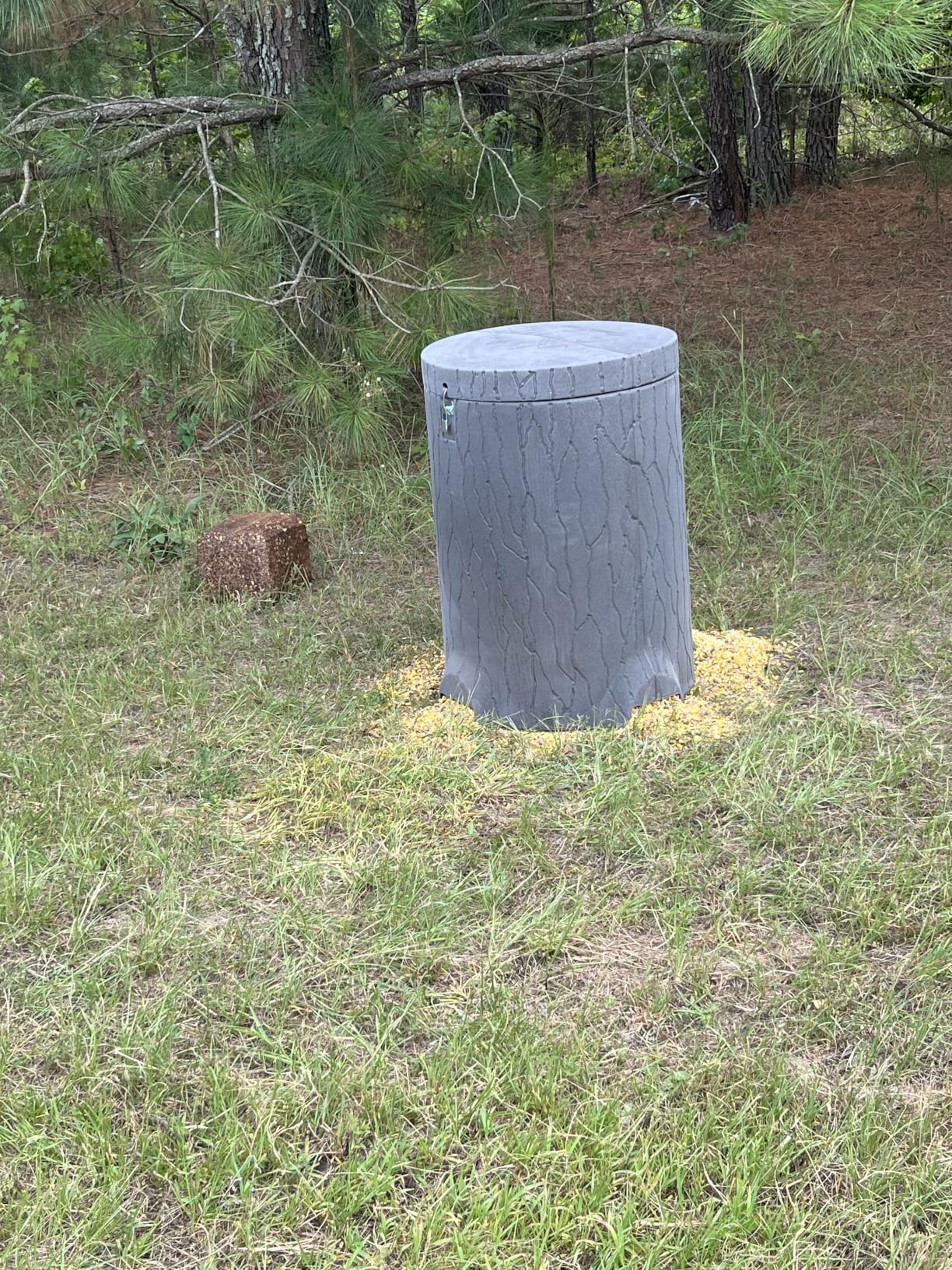 Banks Outdoors Feedbank Timber 250 lb. Capacity Deer and Wildlife Feeder customer photo 1